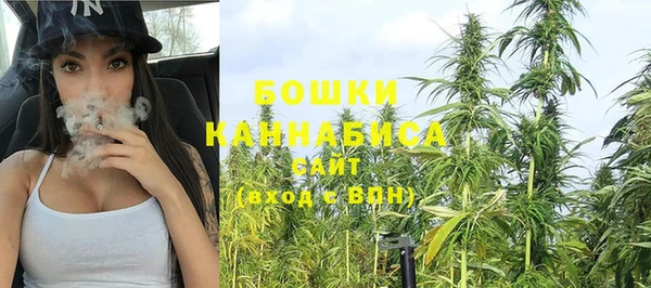 ГАЛЛЮЦИНОГЕННЫЕ ГРИБЫ Майский