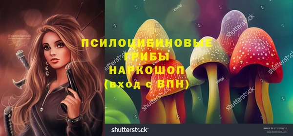 соль ск Магас