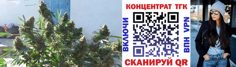 цена   Шарыпово  Дистиллят ТГК концентрат 
